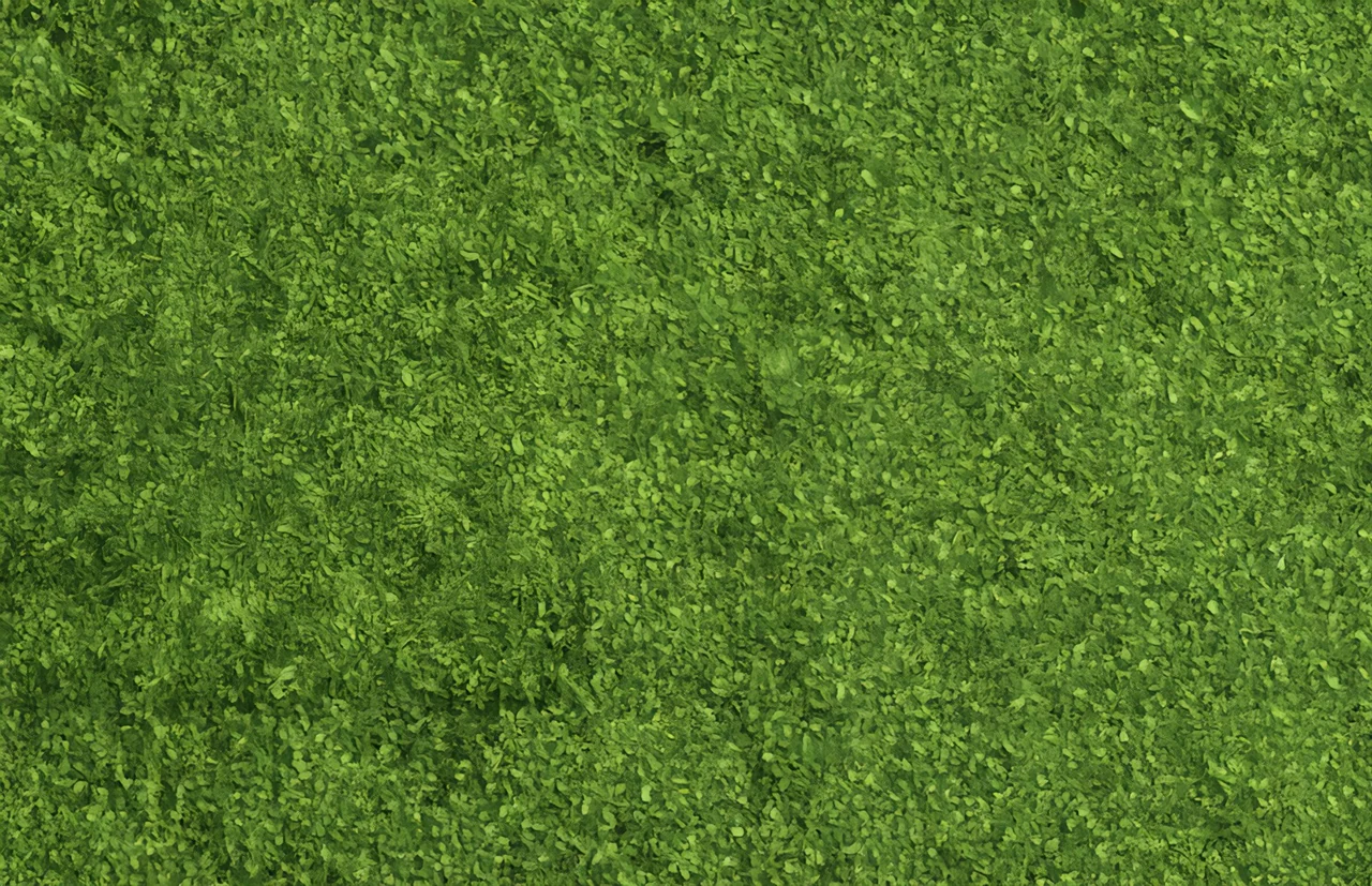 Green grass viewed from above